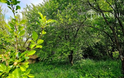 Veľkorysý pozemok na výstavbu Prešov, Solivar