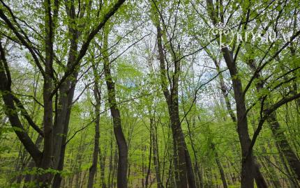 Rekreačná chata, Brežany, okres Prešov