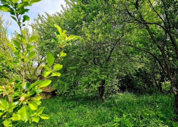 Veľkorysý pozemok na výstavbu Prešov, Solivar