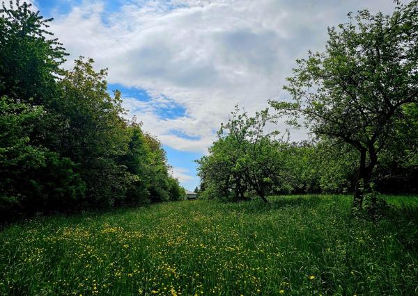 Veľkorysý pozemok na výstavbu Prešov, Solivar