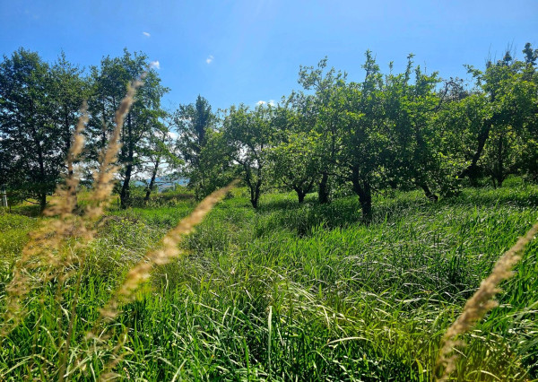 Pozemok na výstavbu, Kechnec, Košice