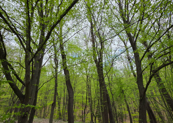 Rekreačná chata, Brežany, okres Prešov